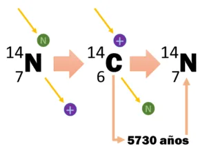 Logo del módulo # 7 del CDC - desintegracion del Nitrógeno 14 pasando por carbono 14.
