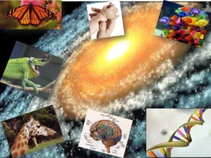 Logo del Curso/Diplomado Creacionista