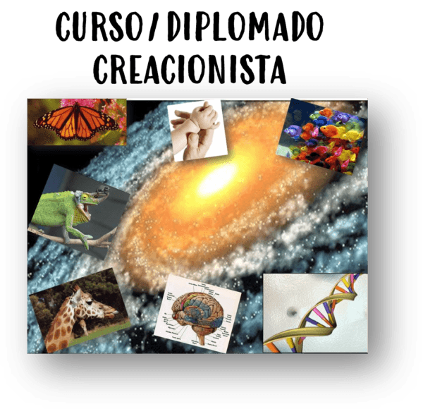 Logo de curso diplomado creacionsta