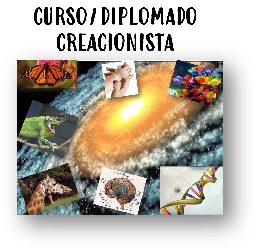 Logo de curso diplomado creacionsta